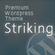 Striking Premium Corporate & Portfolio WP Theme