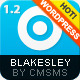 Blakesley - Premium Business & Portfolio wordpress