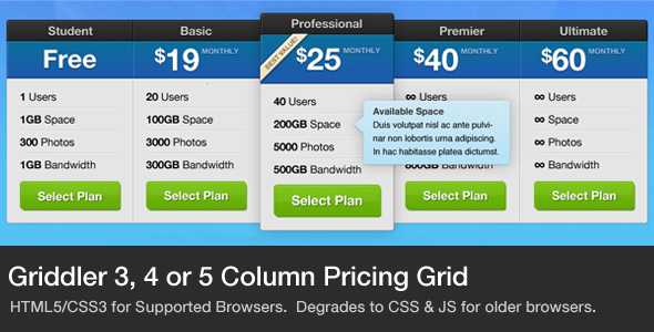 Griddler Pricing Grid I