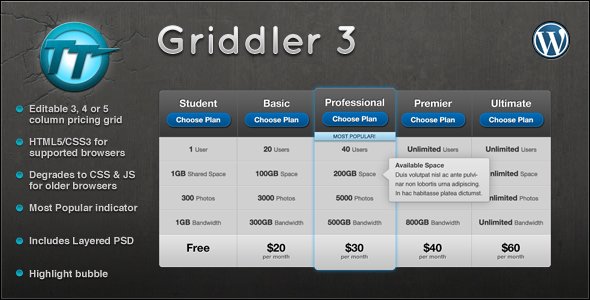 Griddler Pricing Grid 3